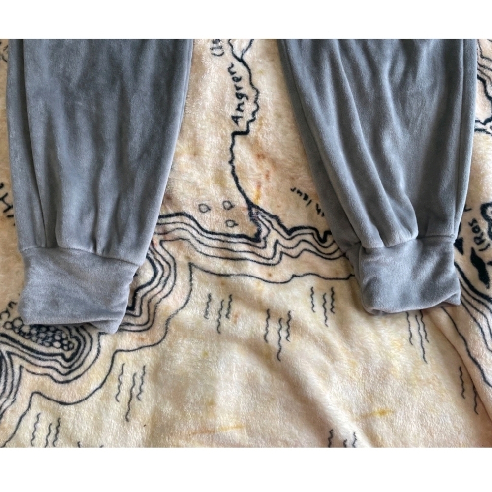 Skims Size Medium Anthracite Velour Jogger Sweat Pants Very Soft - Picture 6 of 9